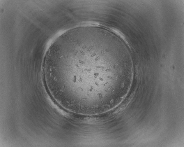 X0000071961379200607141423