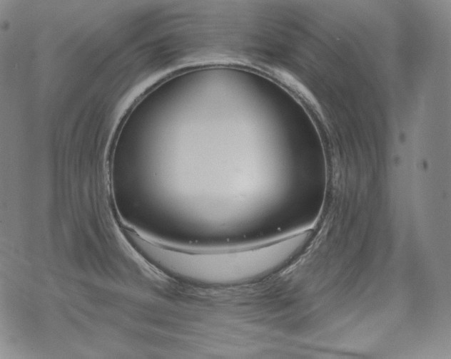 X0000071961380200607141423