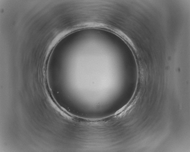 X0000071961381200607141423