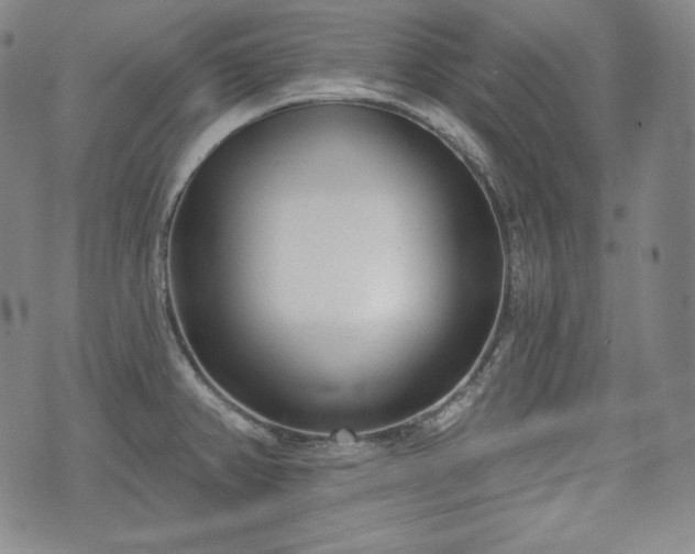 X0000071961382200607141423