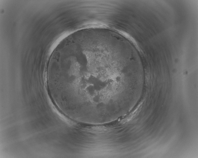 X0000071961383200607141423