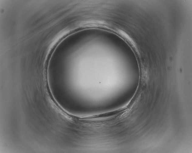 X0000071961384200607141423