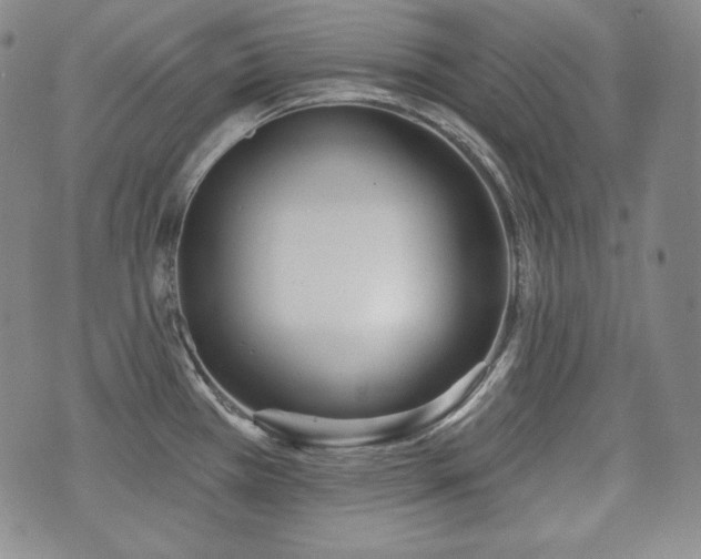 X0000071961385200607141423