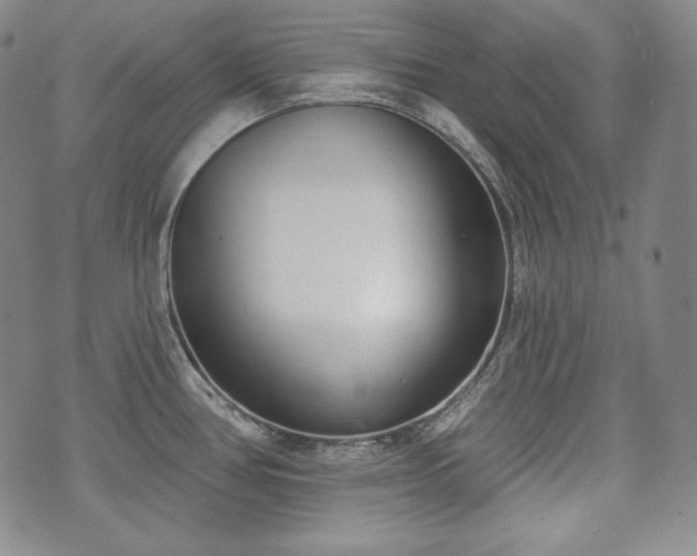 X0000071961386200607141423