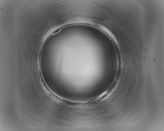 X0000071961388200607141423