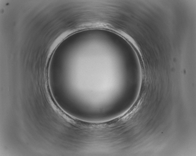 X0000071961389200607141423