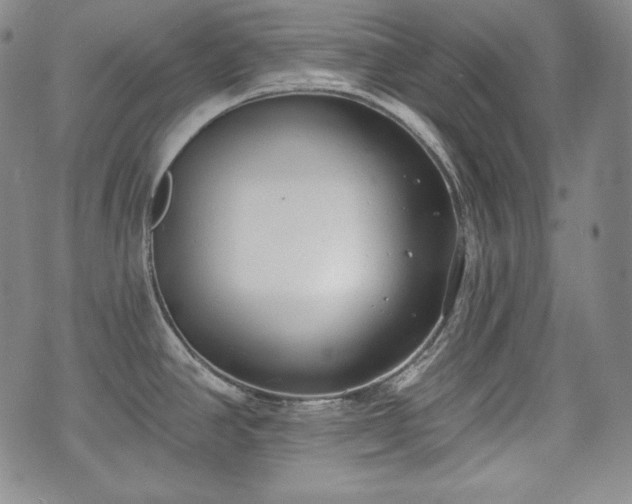 X0000071961390200607141423