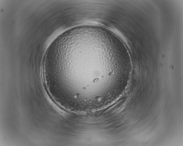 X0000071961391200607141423