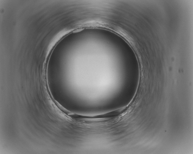 X0000071961392200607141423