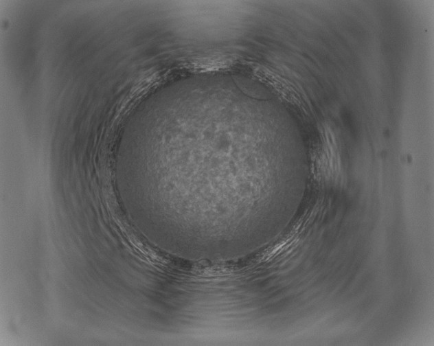 X0000071961393200607141422