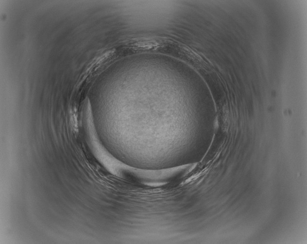 X0000071961394200607141422