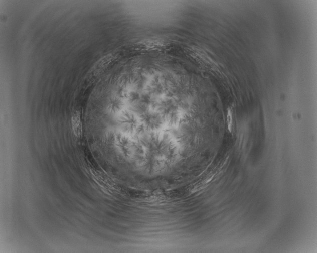 X0000071961395200607141422