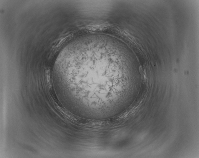 X0000071961396200607141422