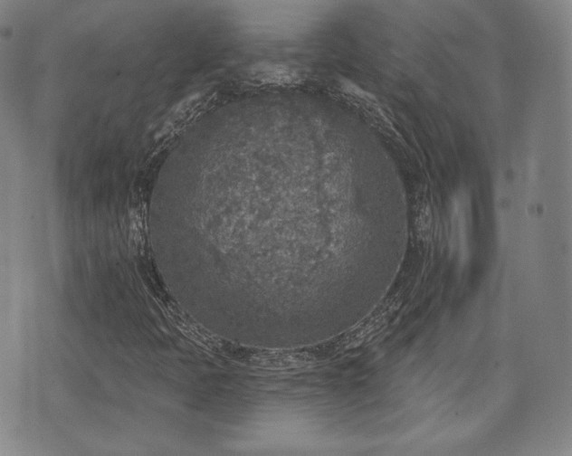 X0000071961397200607141423