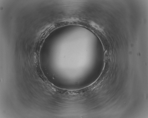 X0000071961398200607141423