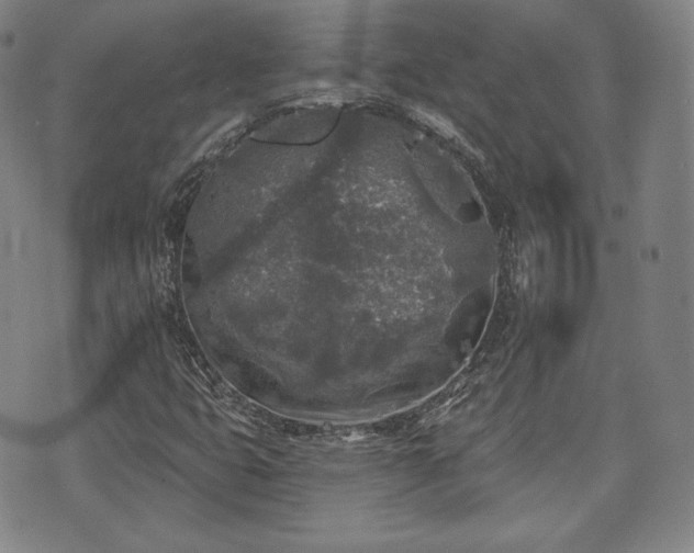 X0000071961399200607141423