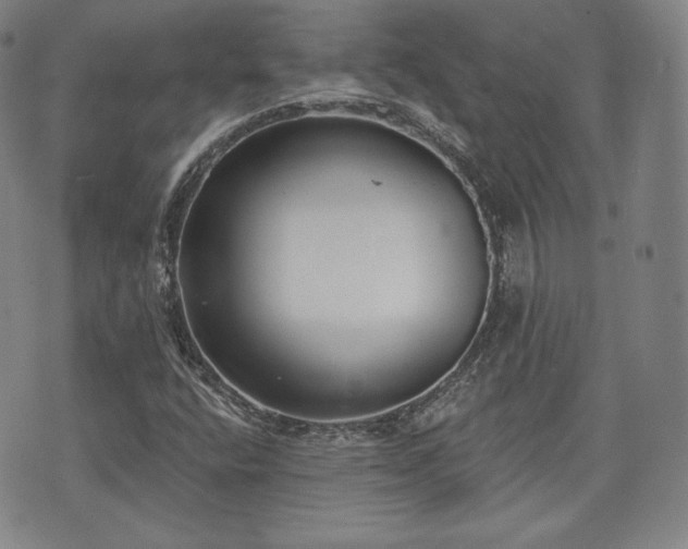 X0000071961400200607141423