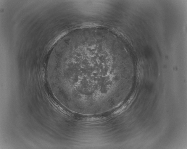 X0000071961401200607141423