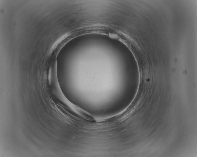 X0000071961402200607141423