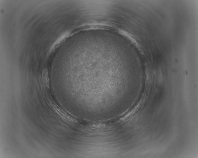 X0000071961403200607141423