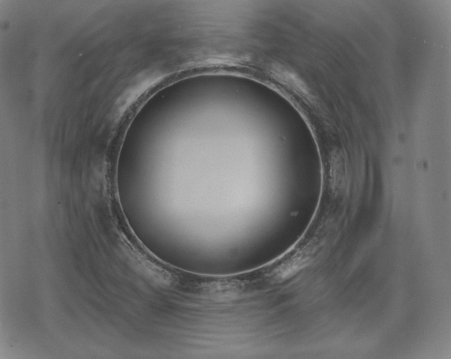 X0000071961404200607141423