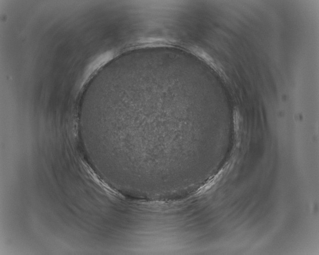 X0000071961405200607141423