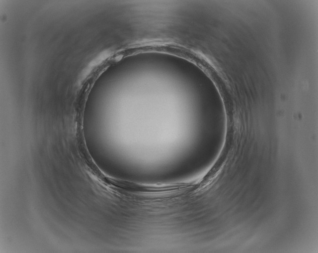 X0000071961406200607141423