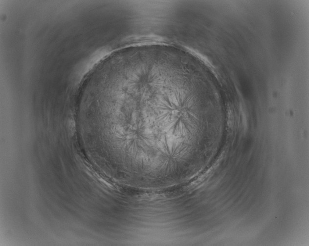 X0000071961407200607141423