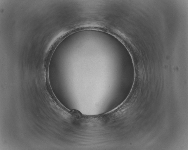 X0000071961408200607141423