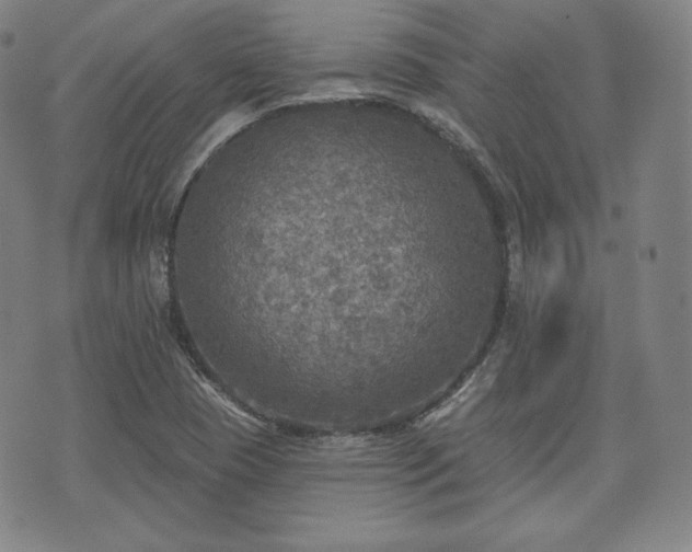 X0000071961409200607141423