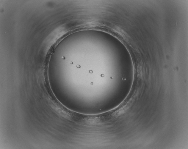 X0000071961410200607141423