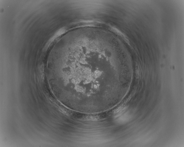 X0000071961411200607141423