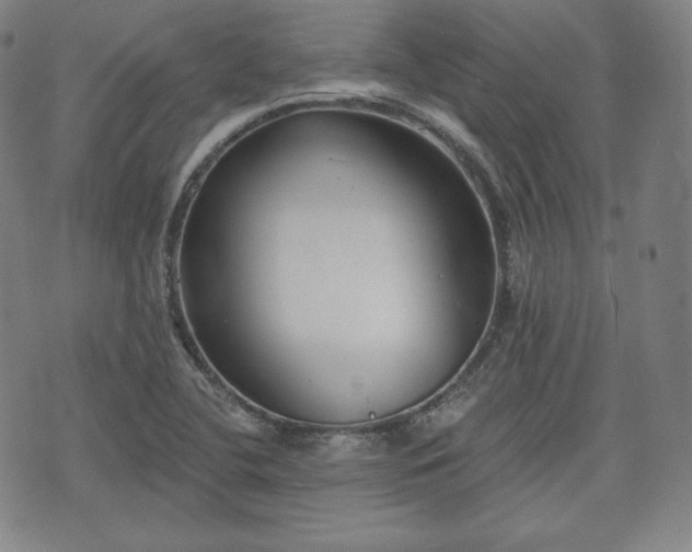 X0000071961412200607141423