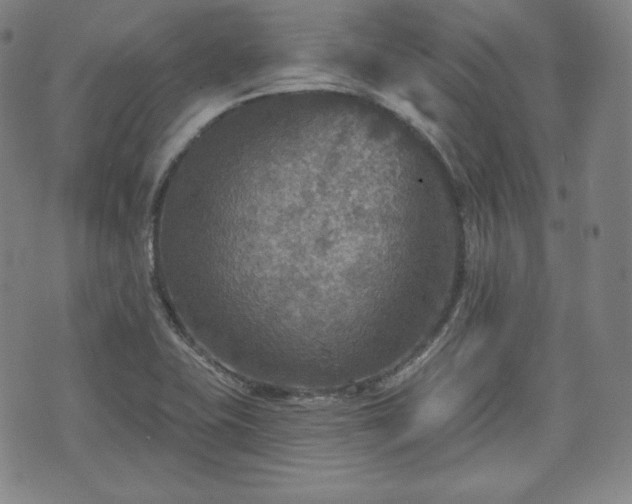 X0000071961415200607141423