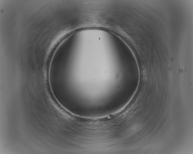 X0000071961416200607141423