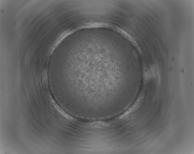 X0000071961417200607141423