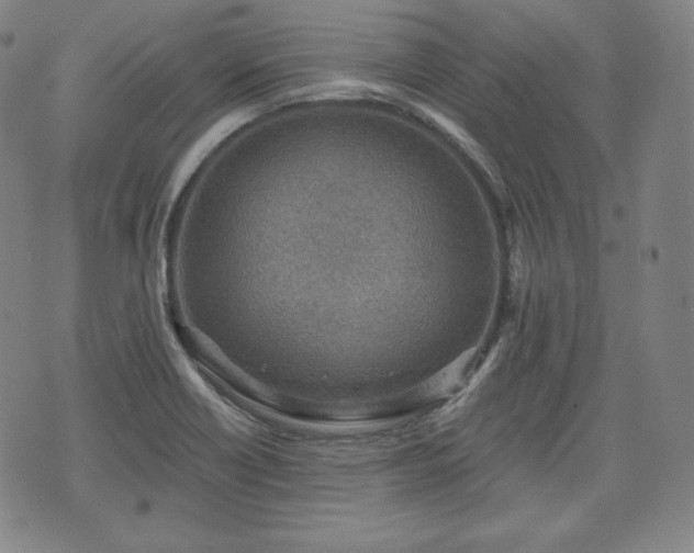 X0000071961418200607141423