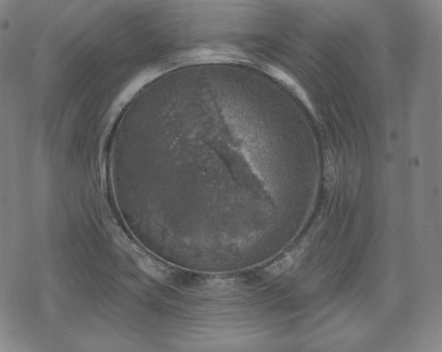 X0000071961419200607141423