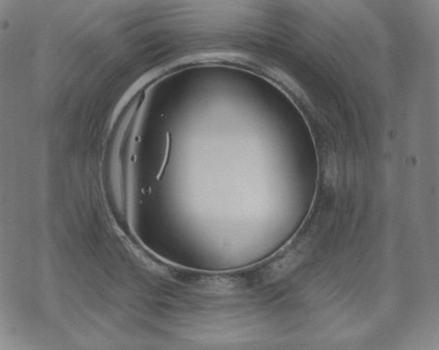 X0000071961420200607141423