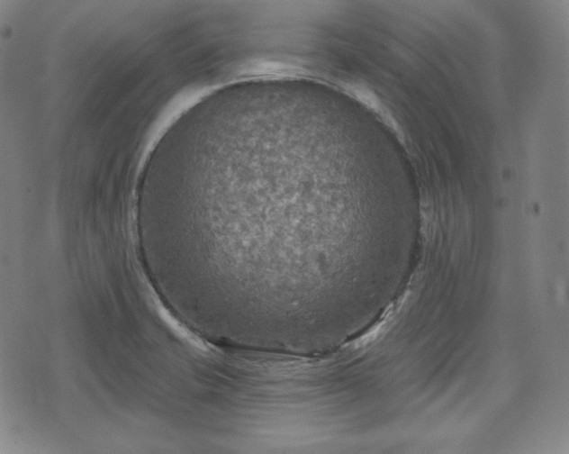 X0000071961421200607141423