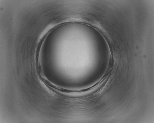 X0000071961422200607141423