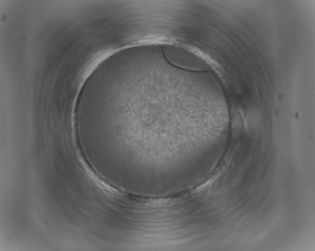 X0000071961423200607141423