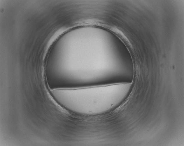 X0000071961424200607141423