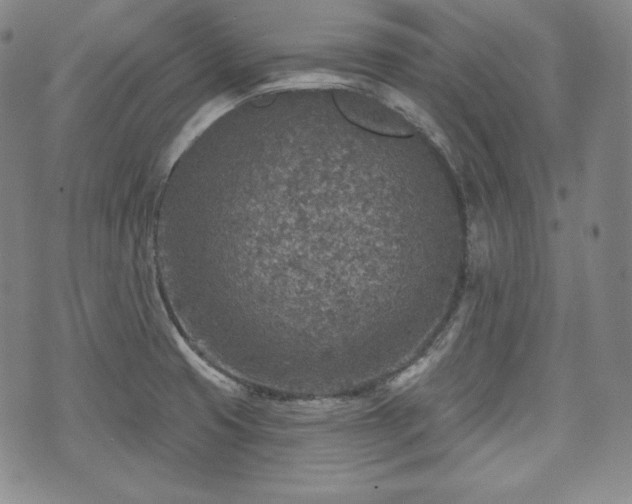 X0000071961425200607141423