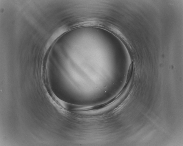 X0000071961426200607141423