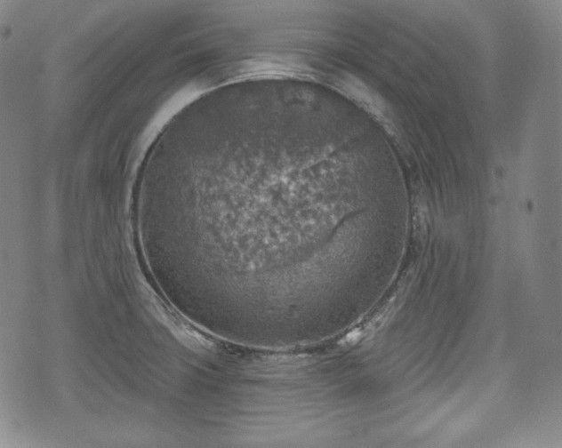 X0000071961427200607141423