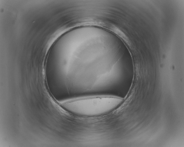 X0000071961428200607141423