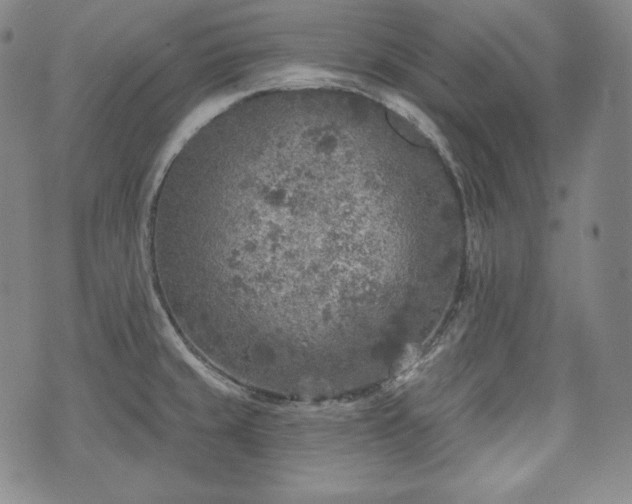 X0000071961429200607141423