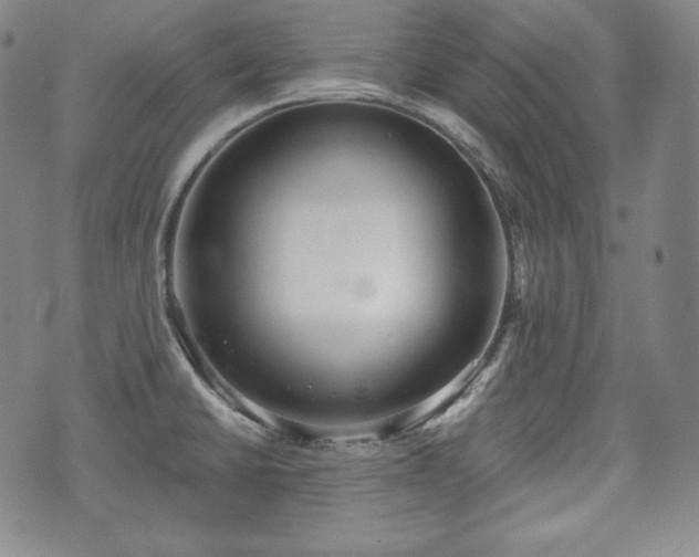 X0000071961430200607141423