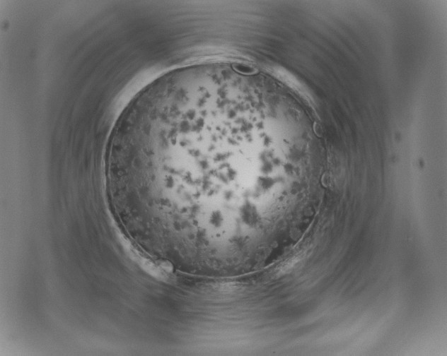 X0000071961431200607141423